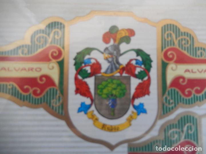 An&eacute;is de charuto de cole&ccedil;&atilde;o: VITOLA ALVARO , SERIE III HERALDICA -ESCUDO DEL APELLIDO - RUBIO