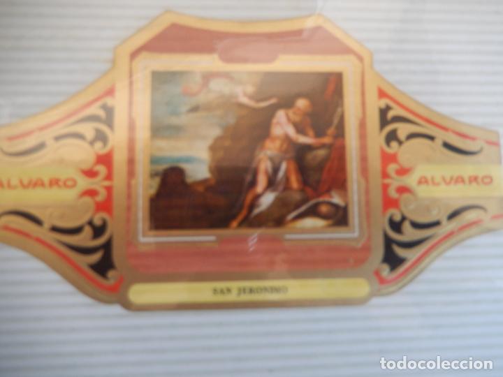 An&eacute;is de charuto de cole&ccedil;&atilde;o: VITOLA ALVARO SERIE CUADRO PINTORES ESPA&Ntilde;OLES ALONSO CANO - SAN JERONIMO