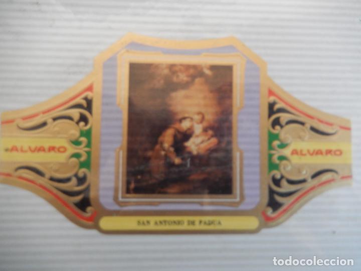 An&eacute;is de charuto de cole&ccedil;&atilde;o: VITOLA ALVARO SERIE III CUADRO PINTORES ESPA&Ntilde;OLES MURILLO - SAN ANTONIO DE PADUA