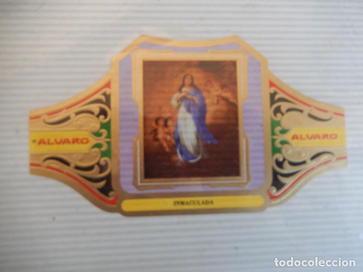 An&eacute;is de charuto de cole&ccedil;&atilde;o: VITOLA ALVARO SERIE III CUADRO PINTORES ESPA&Ntilde;OLES MURILLO - INMACULADA