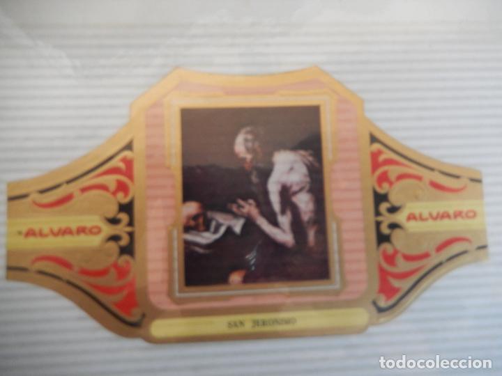 An&eacute;is de charuto de cole&ccedil;&atilde;o: VITOLA ALVARO SERIE DE CUADRO PINTORES ESPA&Ntilde;OLES RIBERA - SAN JERONIMO