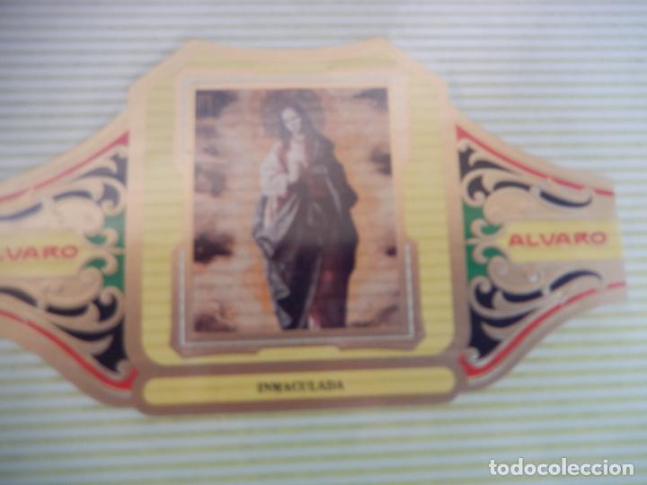 An&eacute;is de charuto de cole&ccedil;&atilde;o: VITOLA ALVARO SERIE DE CUADRO PINTORES ESPA&Ntilde;OLES RIBERA - INMACULADA