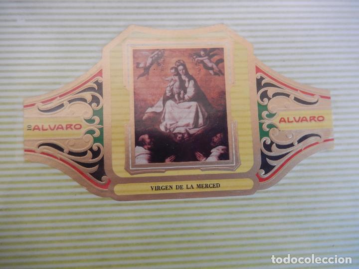 An&eacute;is de charuto de cole&ccedil;&atilde;o: VITOLA ALVARO SERIE DE CUADRO PINTORES ESPA&Ntilde;OLES RIBERA - VIRGEN DE LA MERCED