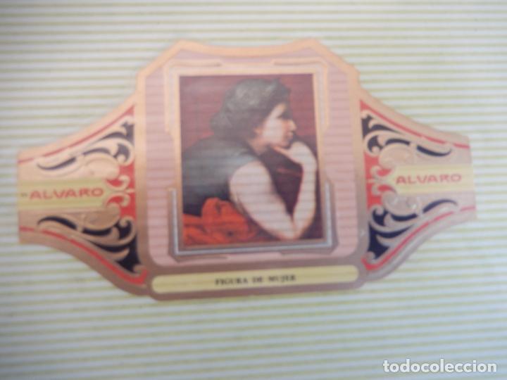 An&eacute;is de charuto de cole&ccedil;&atilde;o: VITOLA ALVARO SERIE II DE CUADRO PINTORES ESPA&Ntilde;OLES RIBERA -FIGURA DE MUJER