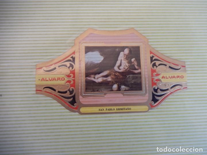 An&eacute;is de charuto de cole&ccedil;&atilde;o: VITOLA ALVARO SERIE DE CUADRO PINTORES ESPA&Ntilde;OLES RIBERA - SAN PABLO ERMITA&Ntilde;O