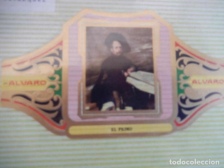 An&eacute;is de charuto de cole&ccedil;&atilde;o: VITOLA ALVARO SERIE III DE CUADRO PINTORES ESPA&Ntilde;OLES VELAZQUEZ -EL PRIMO