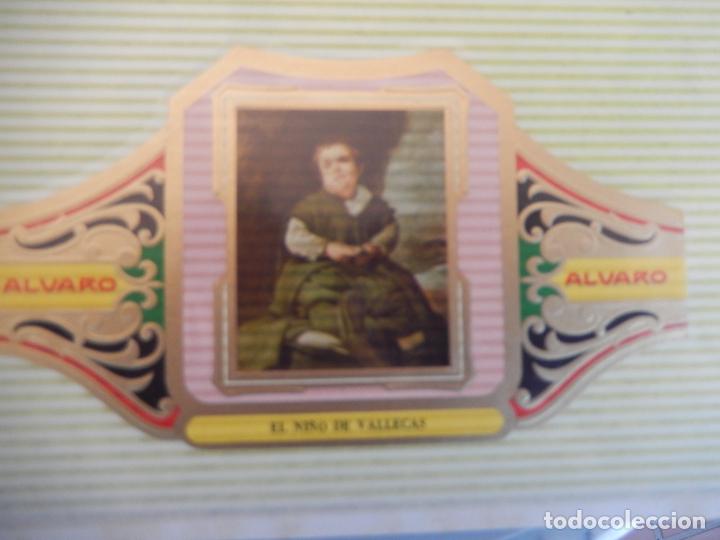 An&eacute;is de charuto de cole&ccedil;&atilde;o: VITOLA ALVARO SERIE III DE CUADRO PINTORES ESPA&Ntilde;OLES VELAZQUEZ - EL NI&Ntilde;O DE VALLEVAS