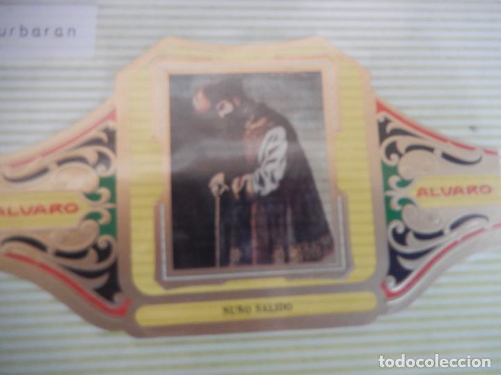 An&eacute;is de charuto de cole&ccedil;&atilde;o: VITOLA ALVARO SERIE III DE CUADRO PINTORES ESPA&Ntilde;OLES ZURBARAN - NU&Ntilde;O SALIDO