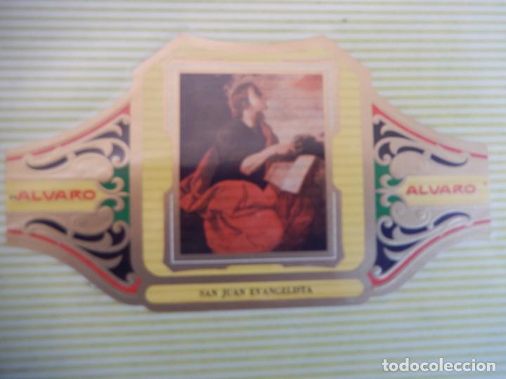 An&eacute;is de charuto de cole&ccedil;&atilde;o: VITOLA ALVARO SERIE III DE CUADRO PINTORES ESPA&Ntilde;OLES ZURBARAN - SAN JUAN EVANGELISTA