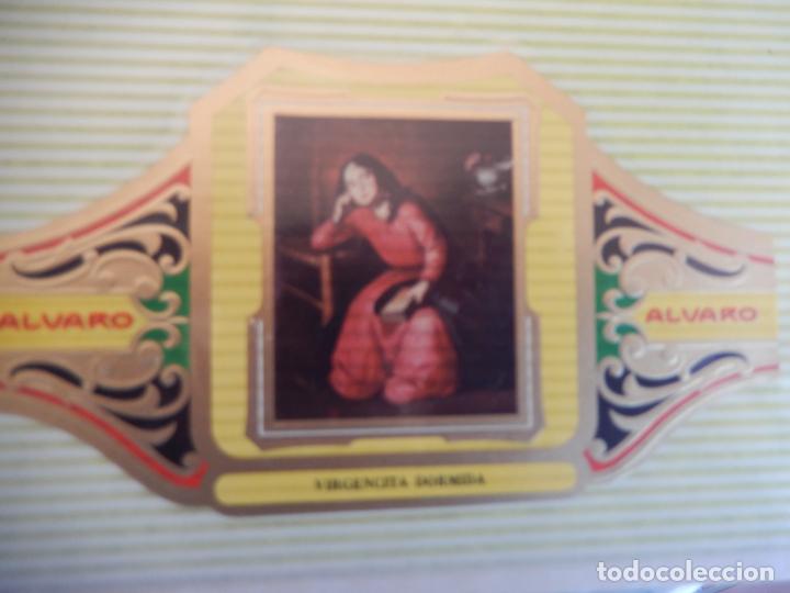 An&eacute;is de charuto de cole&ccedil;&atilde;o: VITOLA ALVARO SERIE III DE CUADRO PINTORES ESPA&Ntilde;OLES ZURBARAN -VIRGENCITA DORMIDA