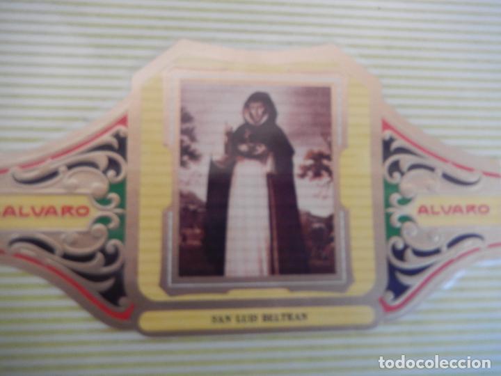 An&eacute;is de charuto de cole&ccedil;&atilde;o: VITOLA ALVARO SERIE III DE CUADRO PINTORES ESPA&Ntilde;OLES ZURBARAN - SAN LUIS BELTRAN