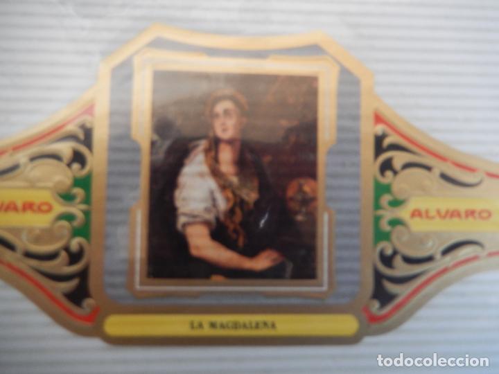 An&eacute;is de charuto de cole&ccedil;&atilde;o: VITOLA ALVARO SERIE III DE CUADRO PINTORES ESPA&Ntilde;OLES EL GRECO - LA MAGDALENA