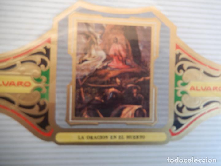 An&eacute;is de charuto de cole&ccedil;&atilde;o: VITOLA ALVARO SERIE III DE CUADRO PINTORES ESPA&Ntilde;OLES EL GRECO - LA ORACION EN EL HUERTO