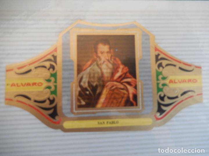 An&eacute;is de charuto de cole&ccedil;&atilde;o: VITOLA ALVARO SERIE III DE CUADRO PINTORES ESPA&Ntilde;OLES EL GRECO - SAN PABLO