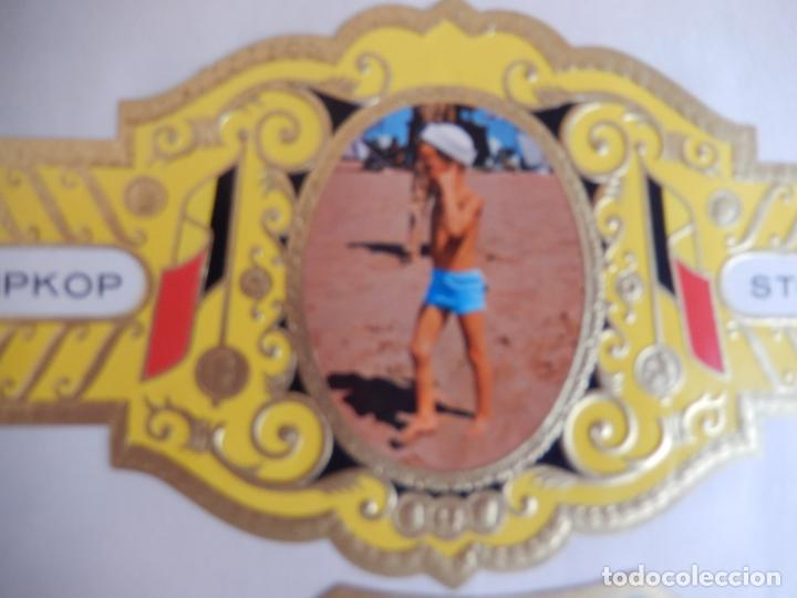 Vitolas de colecci&oacute;n: VITOLA STOMPKOP PRINCE PHILIPPE - Foto 1