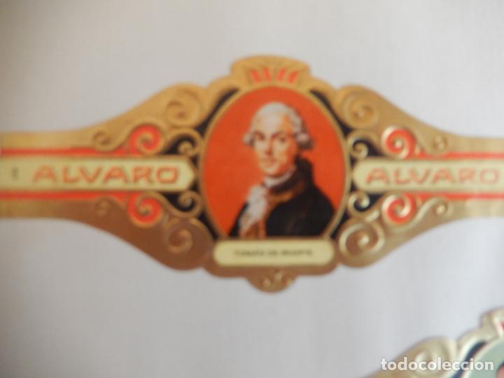 Vitolas de colecci&oacute;n: VITOLA ALVARO SERIE LITERATOS - TOMAS DE IRIARTE