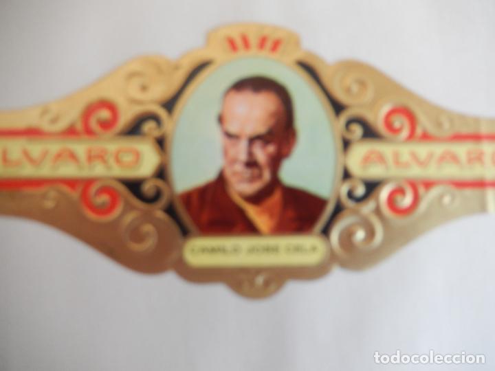 Vitolas de colecci&oacute;n: VITOLA ALVARO SERIE LITERATOS - CAMILO JOSE CELA