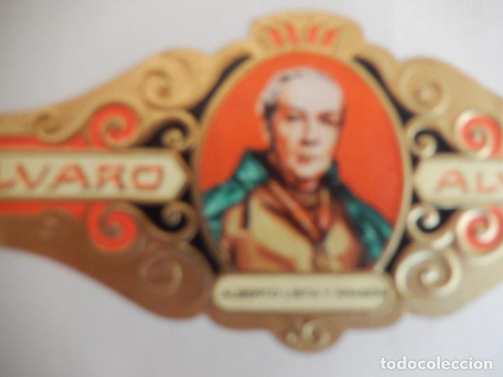 Vitolas de colecci&oacute;n: VITOLA ALVARO SERIE LITERATOS - ALBERTO LISTA Y ARAGON