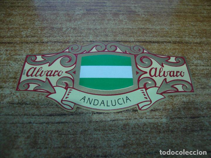 An&eacute;is de charuto de cole&ccedil;&atilde;o: VITOLA PE&Ntilde;AMIL LA FAMA ALVARO CAPOTE COLECCION ESPA&Ntilde;A EN EUROPA ANDALUCIA N&ordm; 14