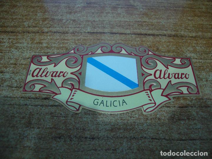 An&eacute;is de charuto de cole&ccedil;&atilde;o: VITOLA PE&Ntilde;AMIL LA FAMA ALVARO CAPOTE COLECCION ESPA&Ntilde;A EN EUROPA GALICIA N&ordm; 24