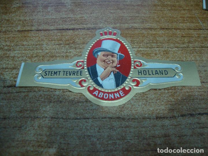 An&eacute;is de charuto de cole&ccedil;&atilde;o: VITOLA STEMT TEVREE ABONNE HOLLAND ROJO