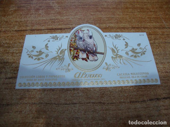 Bagues de cigare de collection: VITOLA ALVARO COLECCION LOROS Y PAPAGAYOS N&ordm; 6