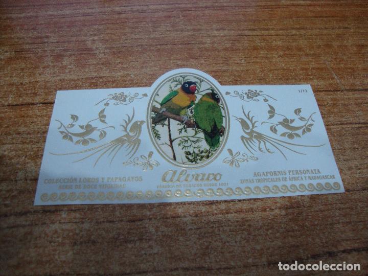 Bagues de cigare de collection: VITOLA ALVARO COLECCION LOROS Y PAPAGAYOS N&ordm; 1