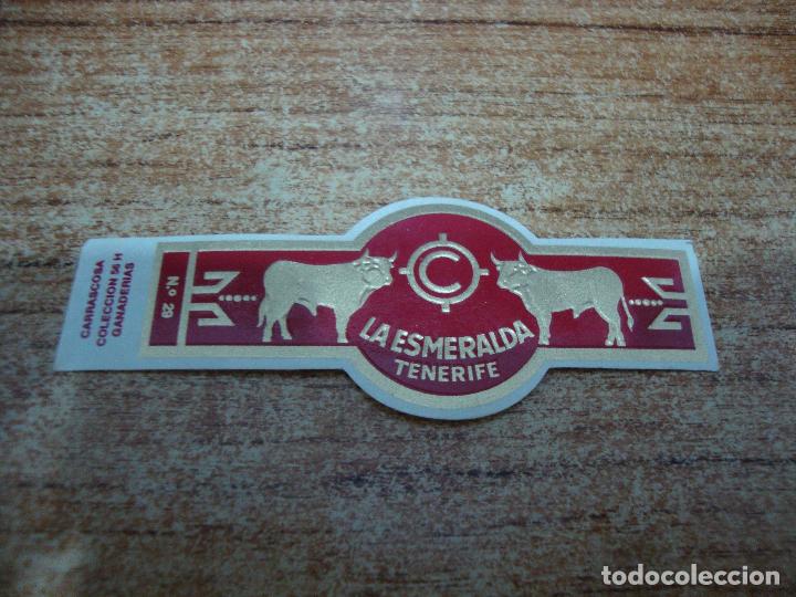 An&eacute;is de charuto de cole&ccedil;&atilde;o: VITOLA LA ESMERALDA COLECCION GANADERIAS N&ordm; 29