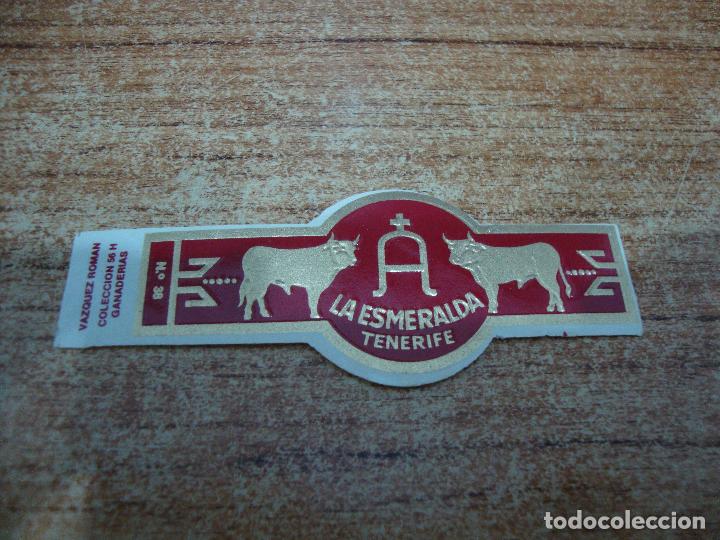 An&eacute;is de charuto de cole&ccedil;&atilde;o: VITOLA LA ESMERALDA COLECCION GANADERIAS N&ordm; 38