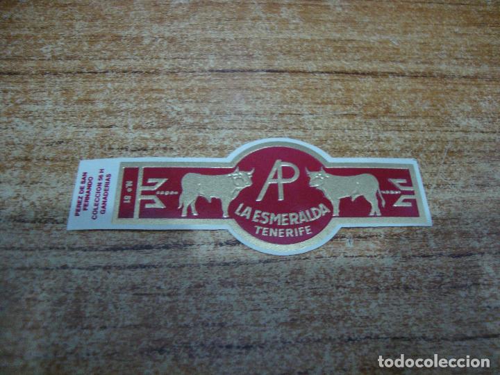 Bagues de cigare de collection: VITOLA LA ESMERALDA COLECCION GANADERIAS N&ordm; 51