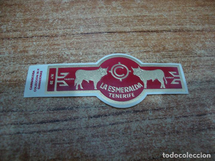 Bagues de cigare de collection: VITOLA LA ESMERALDA COLECCION GANADERIAS N&ordm; 29