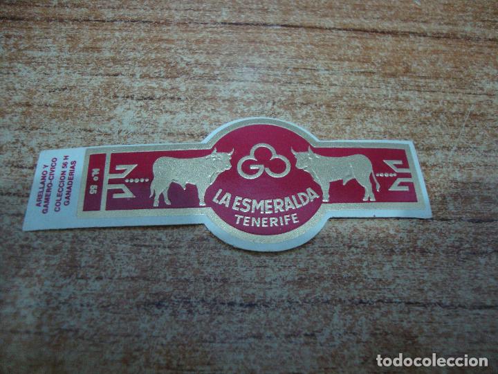 Bagues de cigare de collection: VITOLA LA ESMERALDA COLECCION GANADERIAS N&ordm; 55