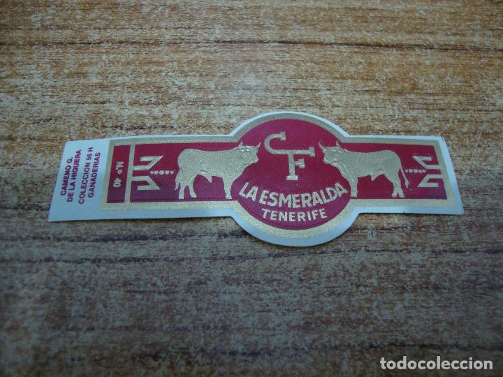 Bagues de cigare de collection: VITOLA LA ESMERALDA COLECCION GANADERIAS N&ordm; 40