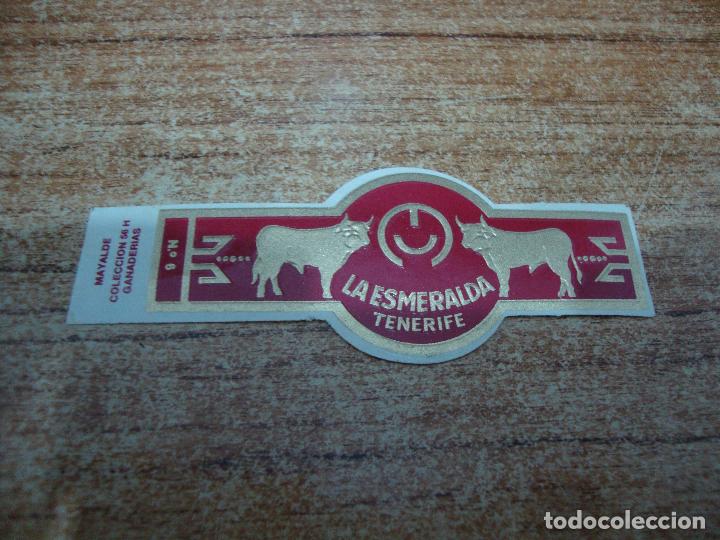 Bagues de cigare de collection: VITOLA LA ESMERALDA COLECCION GANADERIAS N&ordm; 6