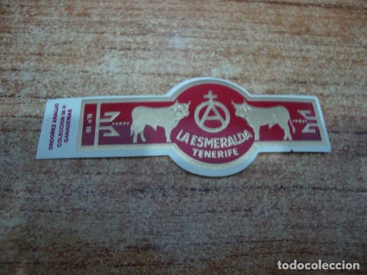 Bagues de cigare de collection: VITOLA LA ESMERALDA COLECCION GANADERIAS N&ordm; 10