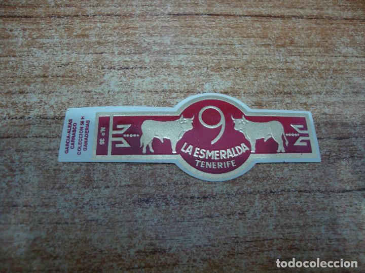 Bagues de cigare de collection: VITOLA LA ESMERALDA COLECCION GANADERIAS N&ordm; 35