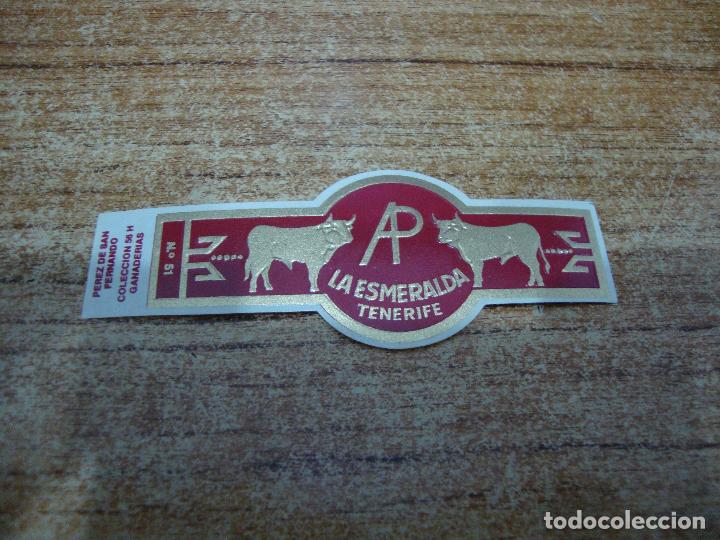 Bagues de cigare de collection: VITOLA LA ESMERALDA COLECCION GANADERIAS N&ordm; 51