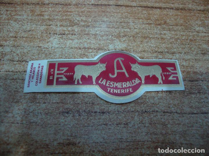 Bagues de cigare de collection: VITOLA LA ESMERALDA COLECCION GANADERIAS N&ordm; 18