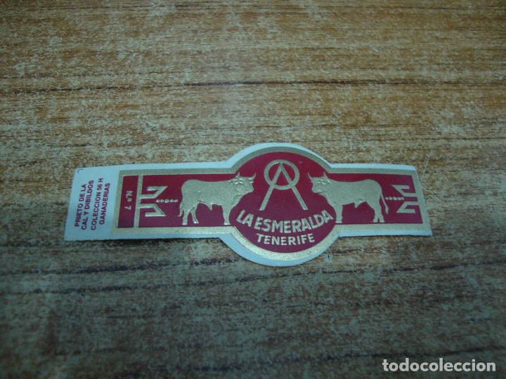 Bagues de cigare de collection: VITOLA LA ESMERALDA COLECCION GANADERIAS N&ordm; 7