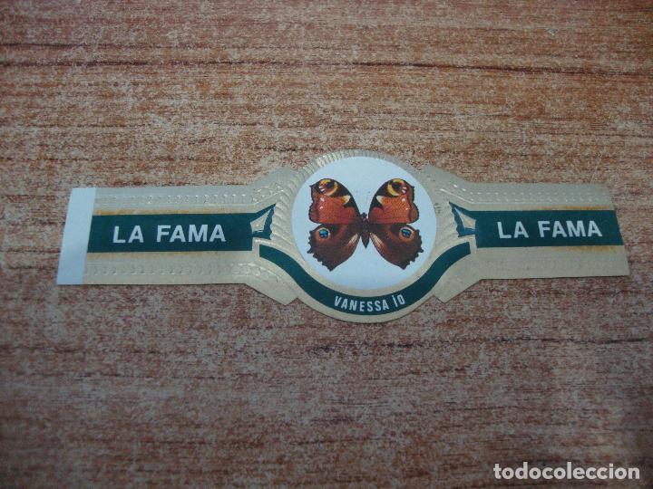 Vitolas de colecci&oacute;n: VITOLA LA FAMA COLECCION MARIPOSAS VANESSA IO