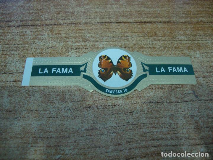 Vitolas de colecci&oacute;n: VITOLA LA FAMA COLECCION MARIPOSAS VANESSA IO