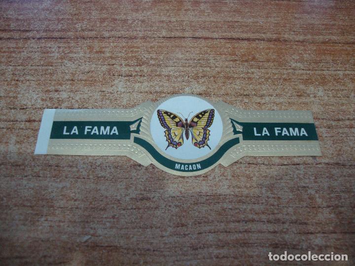 Vitolas de colecci&oacute;n: VITOLA LA FAMA COLECCION MARIPOSAS MACAON