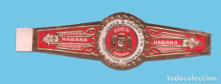 An&eacute;is de charuto de cole&ccedil;&atilde;o: Vitola Cubana Antigua - Marca EDEN - James B. Regan. Importation Company