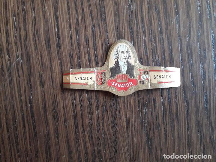 Vitolas de colecci&oacute;n: vitola de puro, Senator - Foto 1