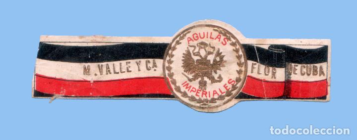 Sammlung von Banderolen: VITOLA CUBANA ANTIGUA - MARCA FLOR DE CUBA. M. VALLE Y CA. - TEM&Aacute;TICA &Aacute;GUILAS HER&Aacute;LDICAS