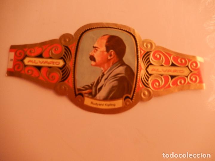 Vitolas de colecci&oacute;n: VITOLA ALVARO SERIE PREMIOS NOBEL LITERATURA - RUDYARD KIPLING