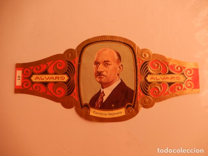 Vitolas de colecci&oacute;n: VITOLA ALVARO SERIE PREMIOS NOBEL - CORNEILLE HEYMANS