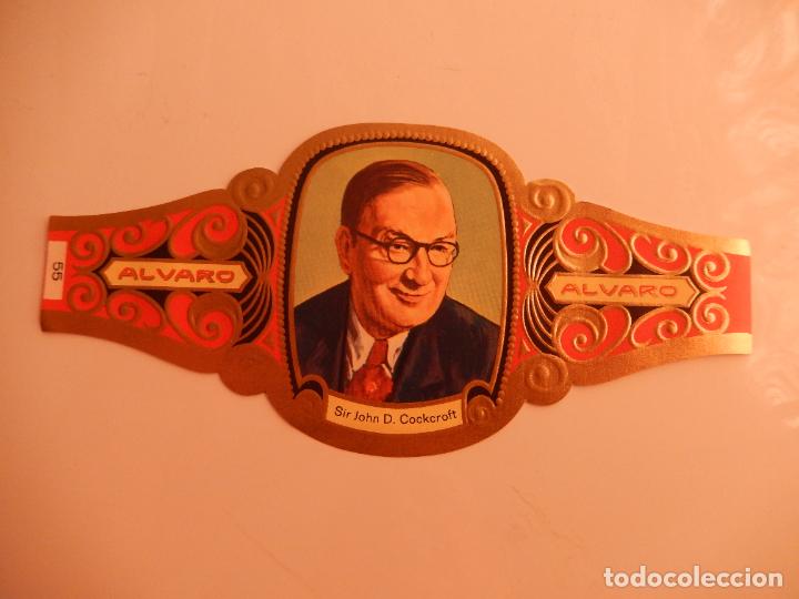 Vitolas de colecci&oacute;n: VITOLA ALVARO SERIE PREMIOS NOBEL - SIR JOHN D. COCKCROFT