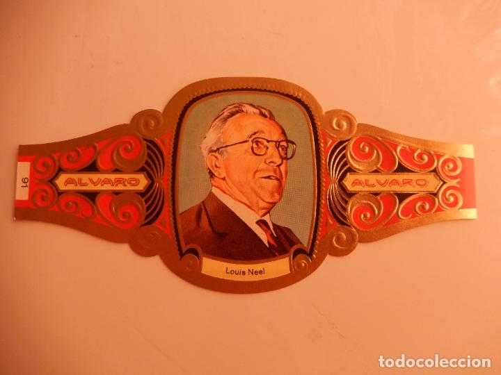 Vitolas de colecci&oacute;n: VITOLA ALVARO SERIE PREMIOS NOBEL- LOUIS NEEL