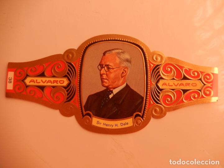 Vitolas de colecci&oacute;n: VITOLA ALVARO SERIE PREMIOS NOBEL- SIR HENRY H. DALE